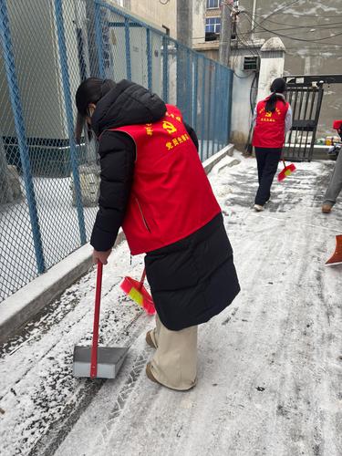 2.各位党员分工合作,对道路进行除冰任务 2.各位党员分工合作,对道路进行除冰任务