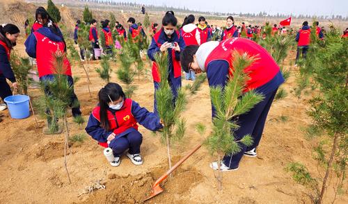 4.团员们为自己亲手种下的小树苗留影,记录这珍贵的一刻 4.团员们为自己亲手种下的小树苗留影,记录这珍贵的一刻